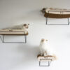 DAVID Kartonnen wandplank met houder - Afbeelding 5