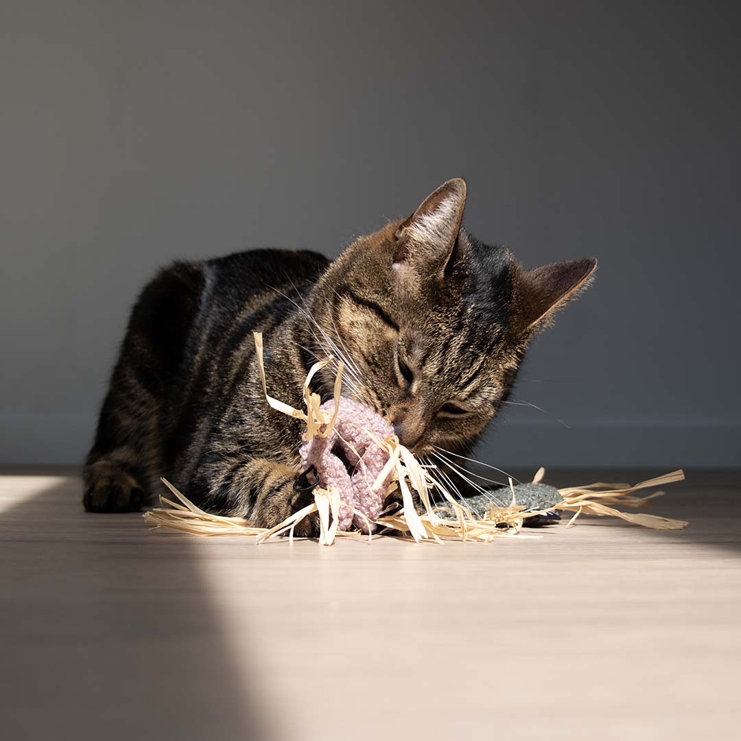 MILLY kattenspeeltje - Afbeelding 3